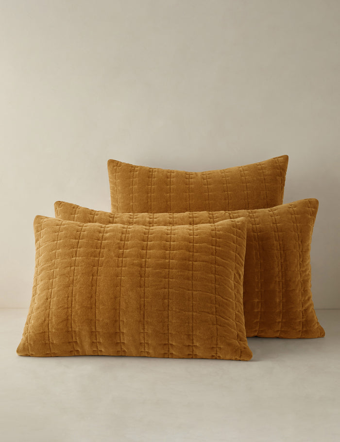 Marigold / Standard
