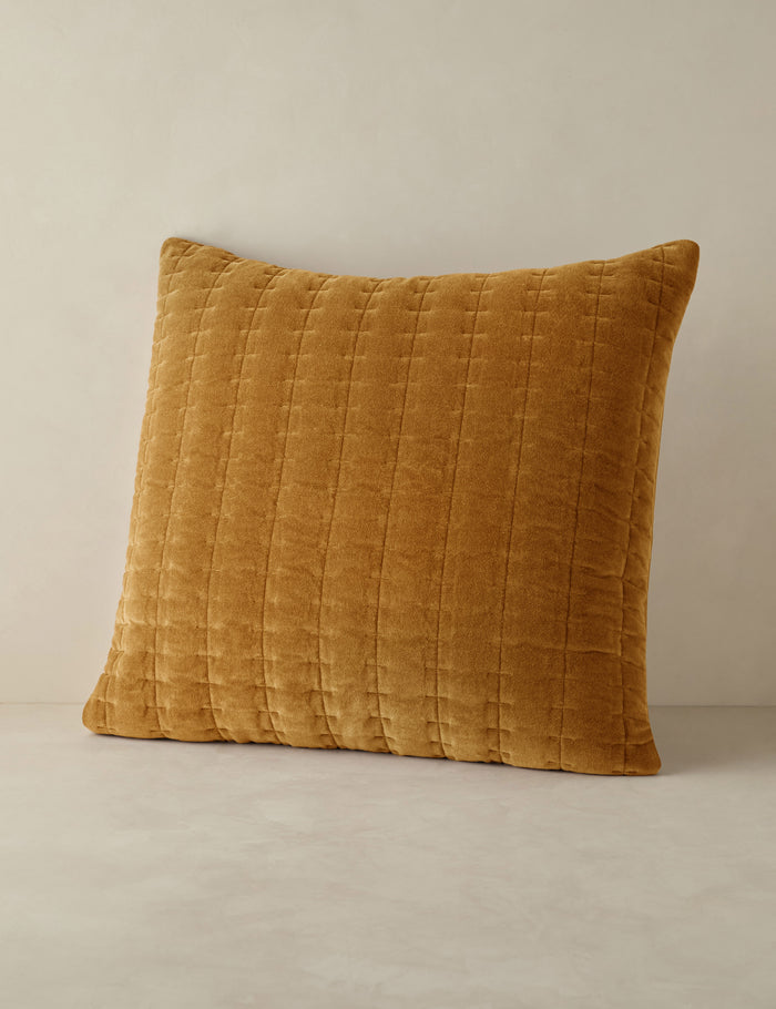Marigold / Euro