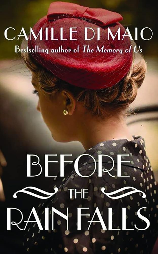 Before the Rain Falls: A Novel cover image