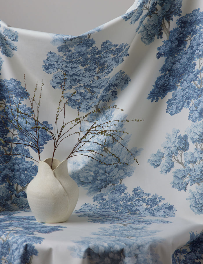 #color::light-blue