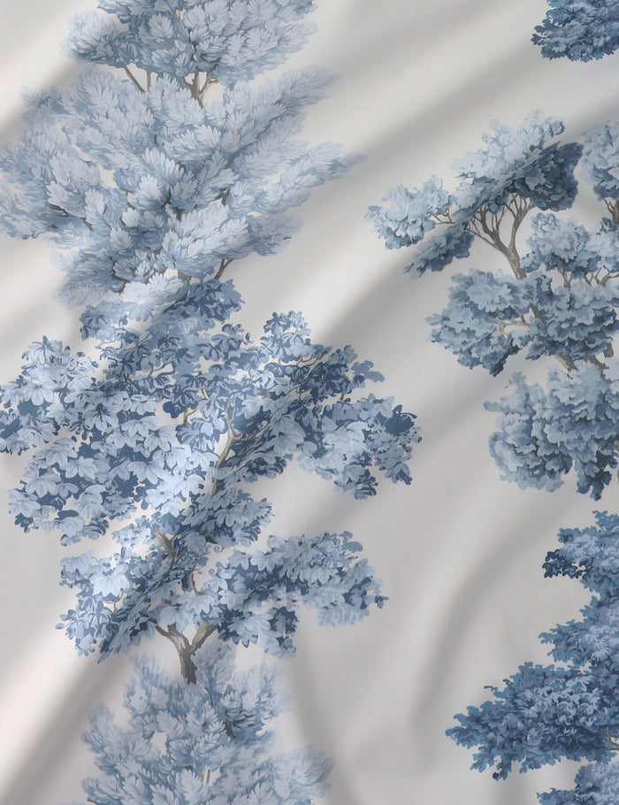 #color::light-blue