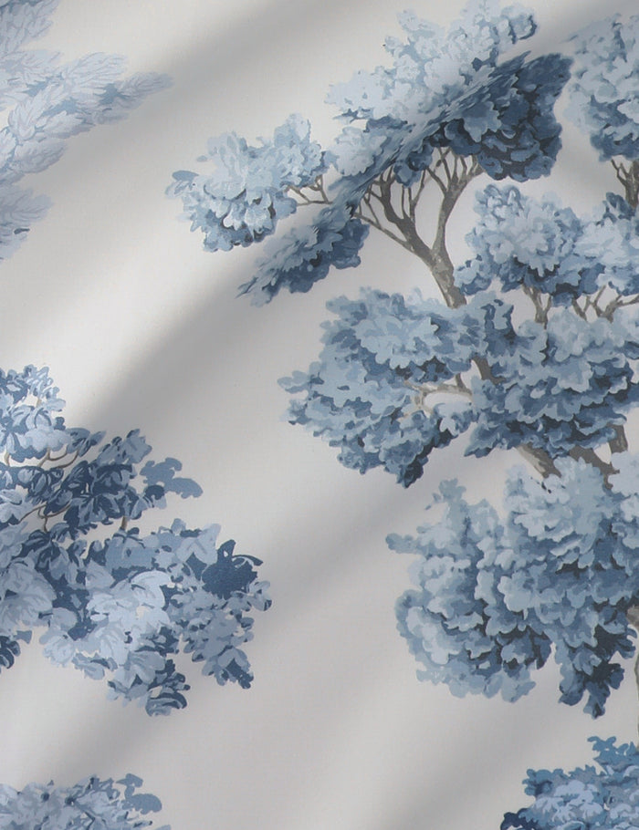 #color::light-blue