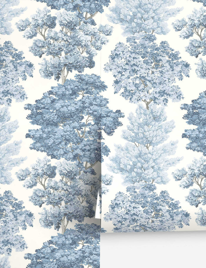 #color::light-blue