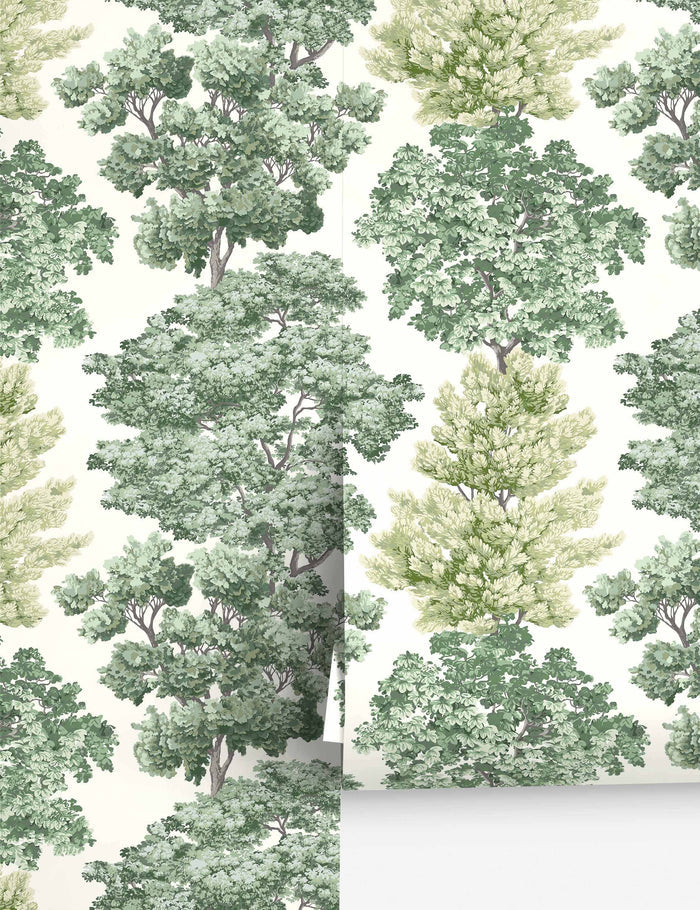 #color::green
