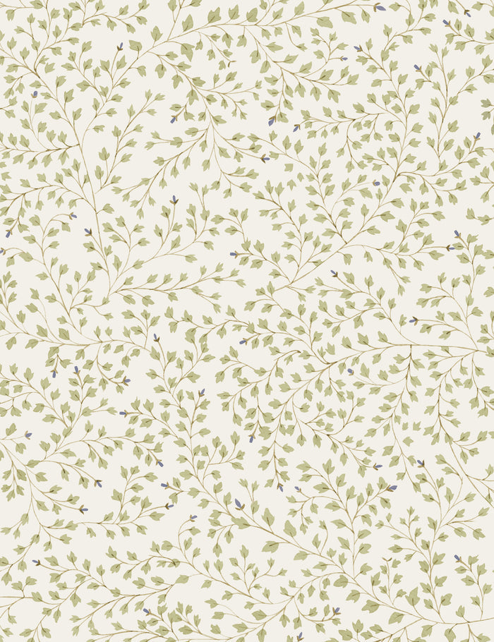 #color::sage