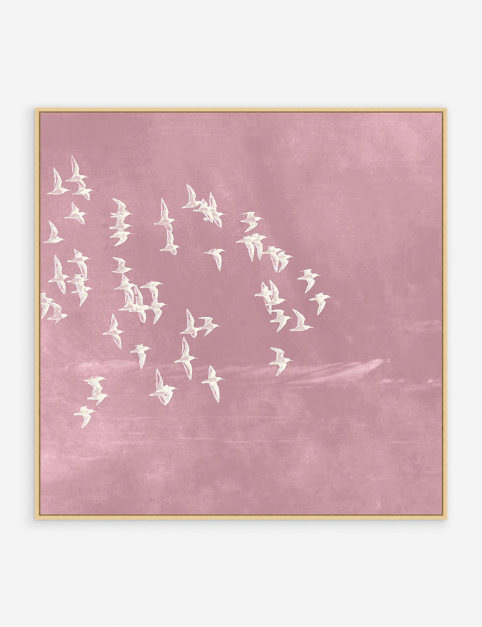 Pink / 38" x 38" / Oak