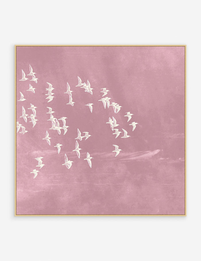 Pink / 48" x 48" / Oak