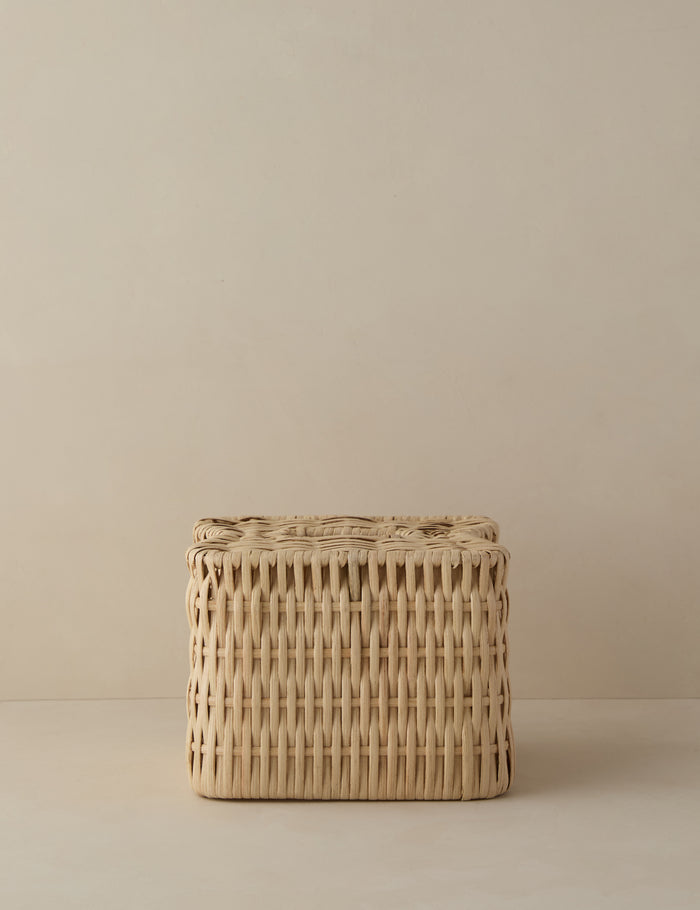 #style::tissue-holder