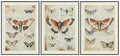 Jossletts Wall Art (Set of 3)