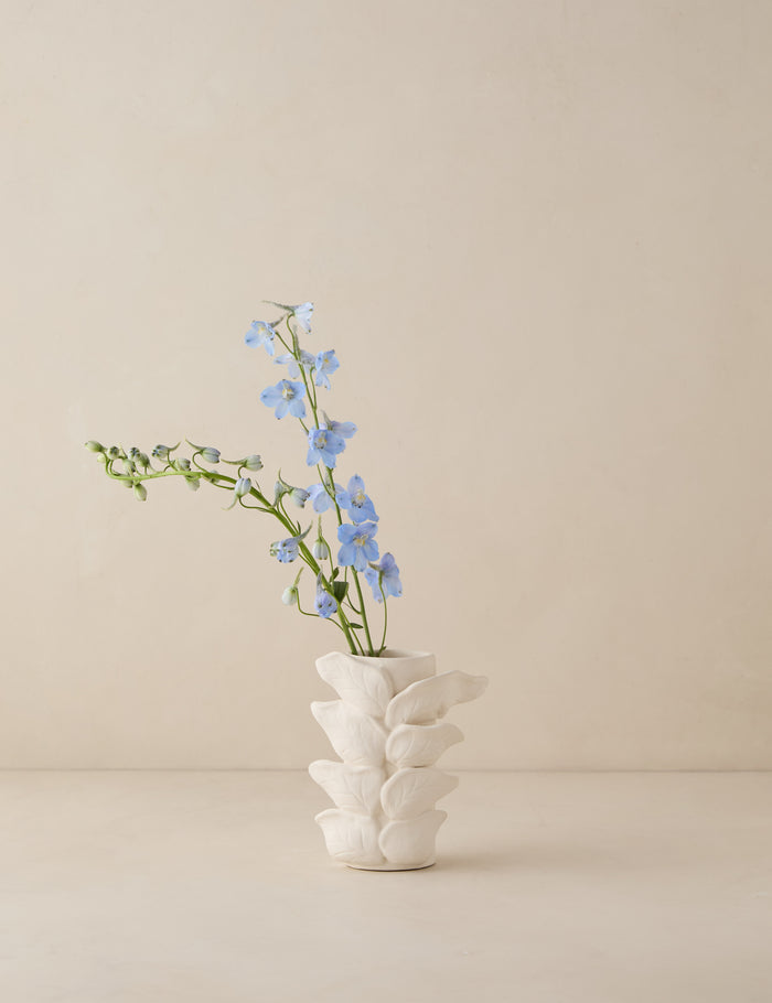 #color::ivory
