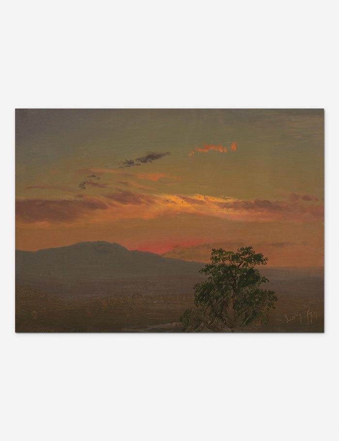 #color::unframed #size::40--x-29- #size::20--x-145-