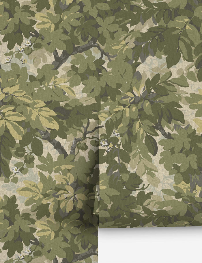 #color::olive