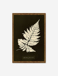 #color::ornate-gold #size::115--x-16- #size::21--x-30-