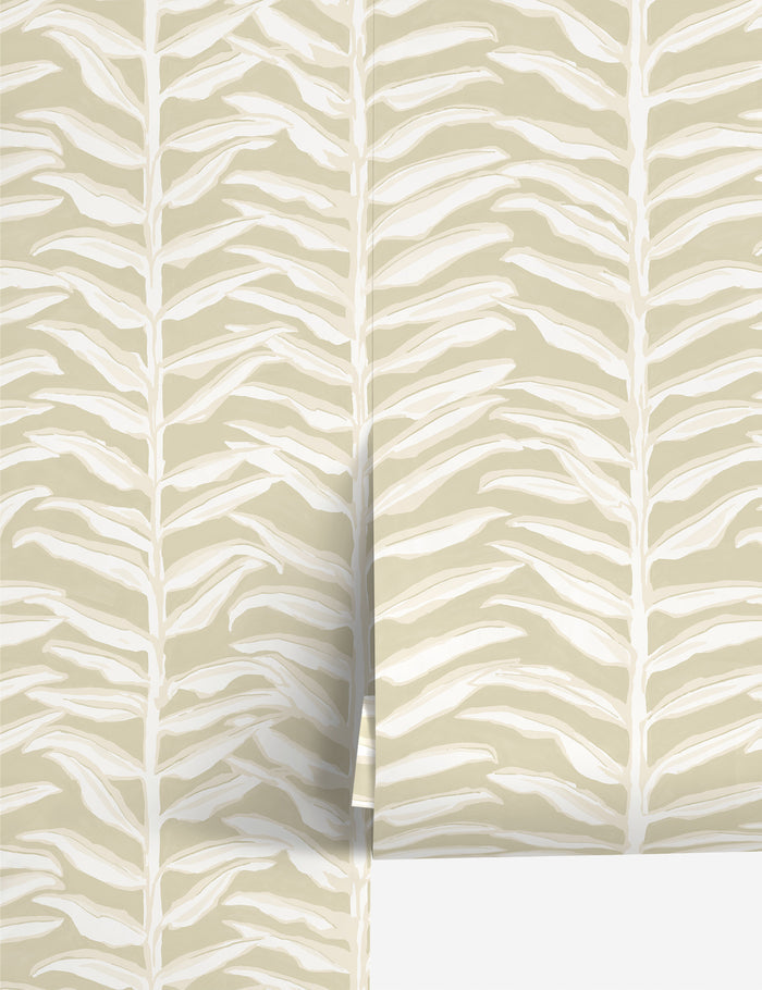 #color::ivory