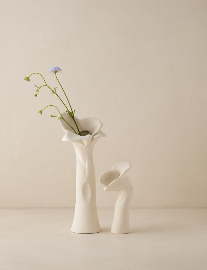 #color::ivory