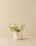 #color::sierra-blanc