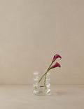 #size::small