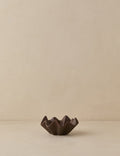 #color::brown