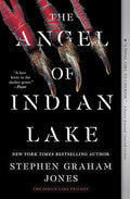 The Angel of Indian Lake (3) (The Indian Lake Trilogy) cover image