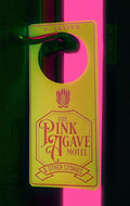 The Pink Agave Motel: & Other Stories cover image
